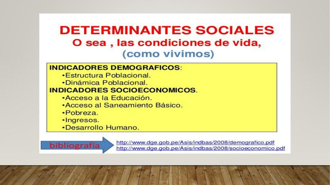 Determinantes Sociales Ana Aguirre Udocz