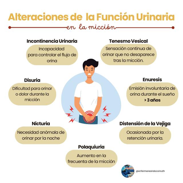 Alteraciones De La Funci N Urinaria Enfermereando Con Ruth Udocz