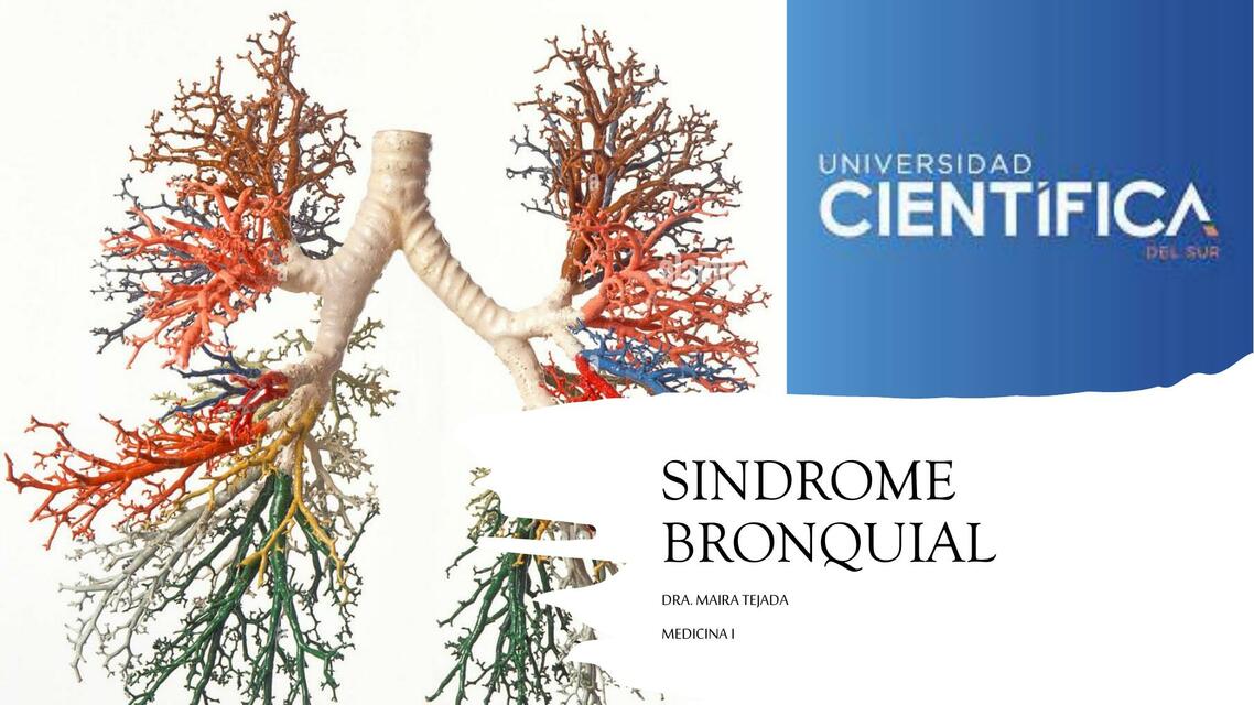 Sindrome Bronquial Mena Udocz