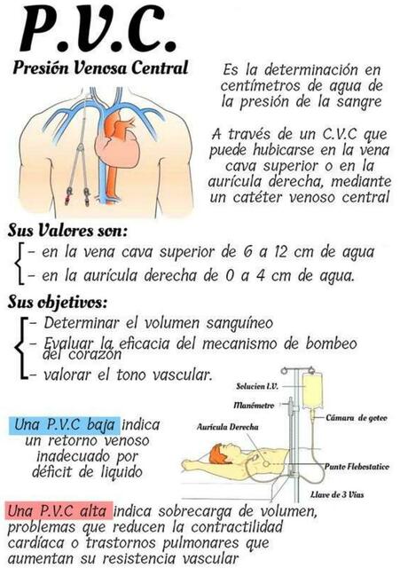 Presión venosa central Apuntes uDocz