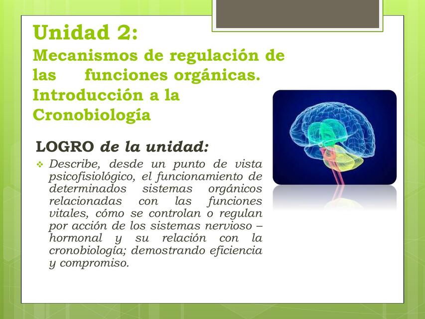 Mecanismos De Regulaci N De Las Funciones Org Nicas Metotrexato Post