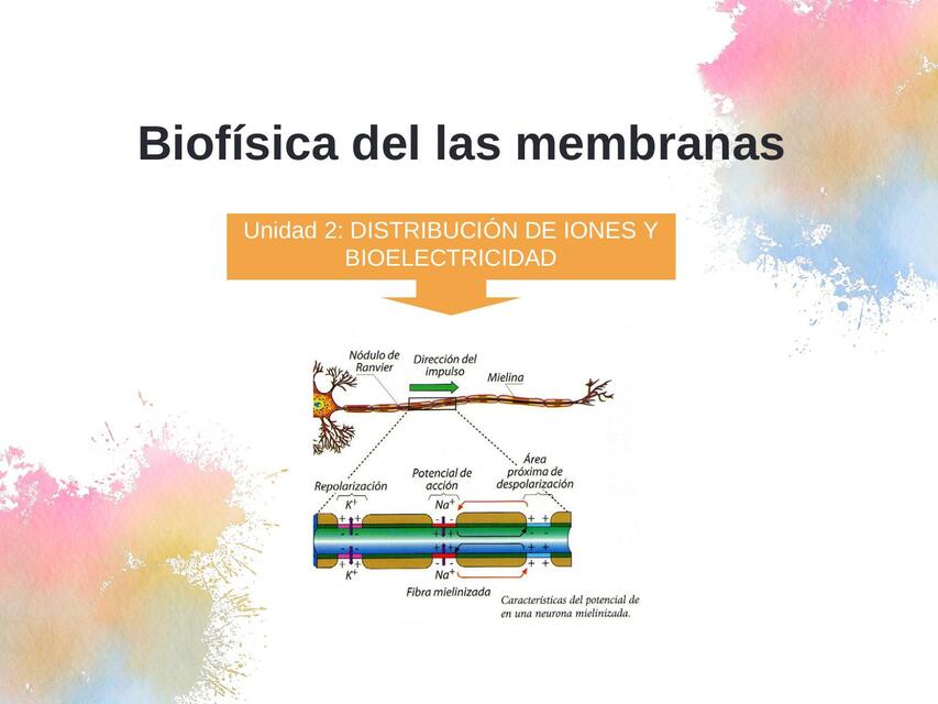 CLASE 5 Biofísica de las membranas Piero Vega uDocz