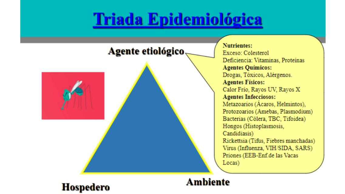 Triada Epidemiologica Agente Biologico Alxnsx S Udocz