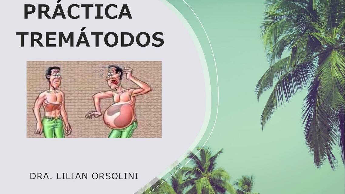 PRÁCTICA 13 ESQUISTOSOMIOSIS Myrka Ovando uDocz