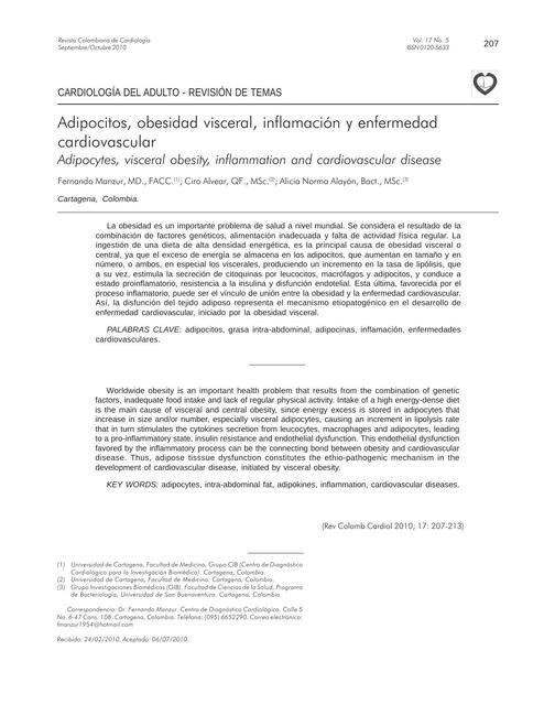 Adipocitos Obesidad Visceral Inflamaci N Y Enfermedad Cardiovascular