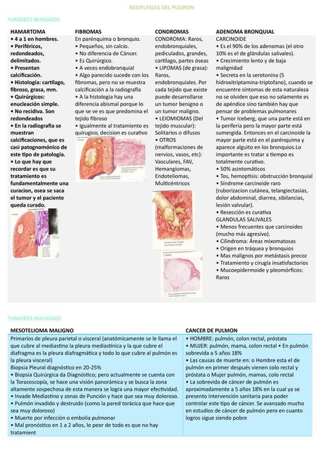 Neoplasias De Pulm N Stephany Flores Zanabria Udocz