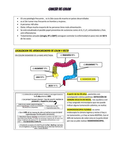 Gastroenterolog A C Ncer De Colon Resumen Docx Marisela Udocz