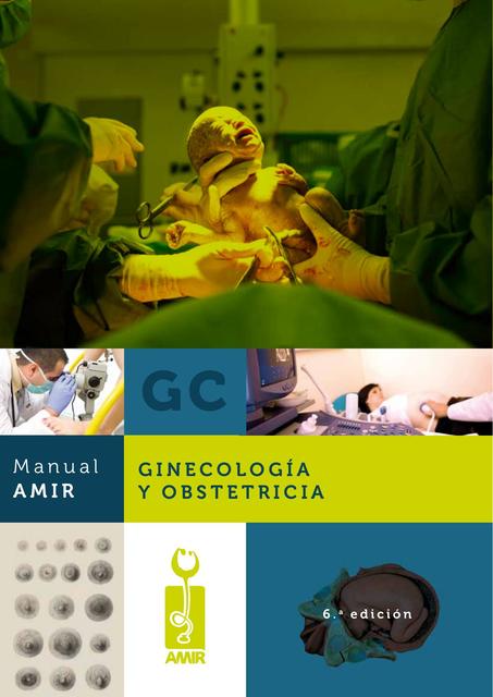 Manual Amir Ginecologia Y Obstetricia Ed Dr Podocito Sigueme Udocz