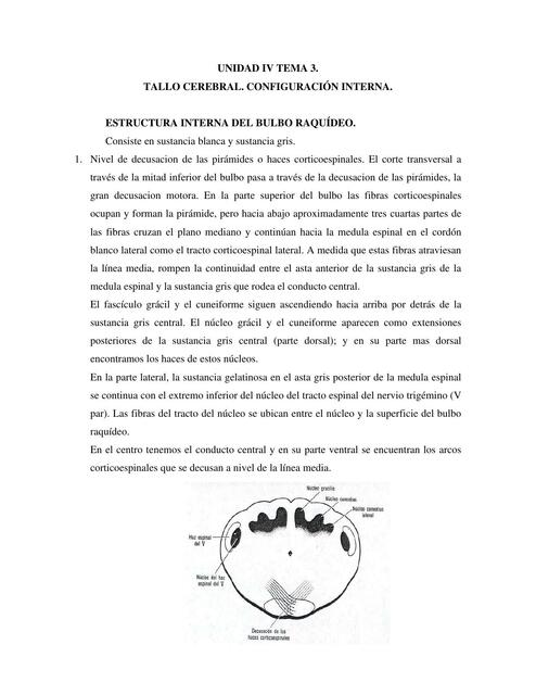 Unidad Iv Tema Tallo Cerebral Configuraci N Interna Carlos Daniel