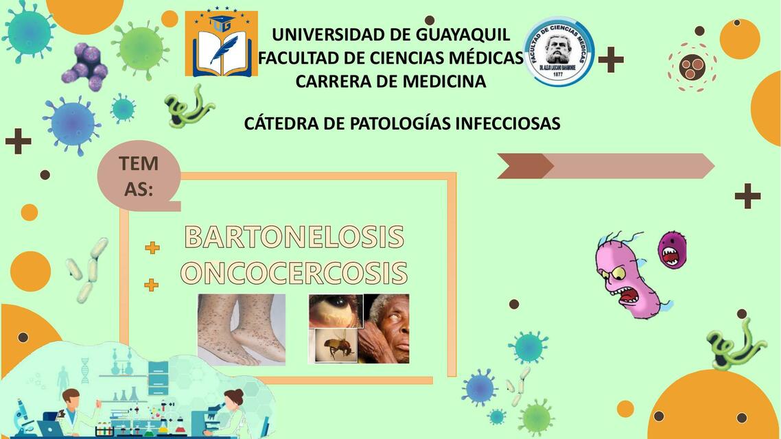 Bartonelosis Oncocercosis Patologias Infecciosas Valeria Carpio Udocz