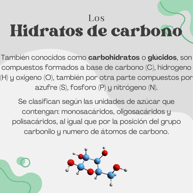 Los Hidratos De Carbono Yostin Beltran UDocz