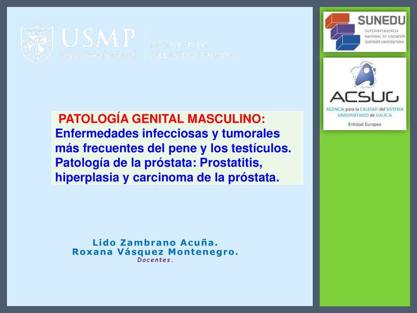 Pr Ctica Patolog A Del Aparato Genital Masculino Natalie Sosa Udocz