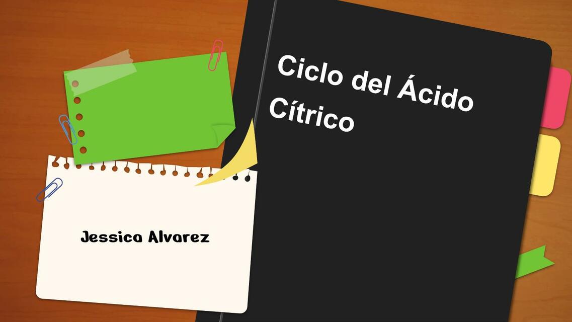 Ciclo De Krebs Jessica Alvarez UDocz