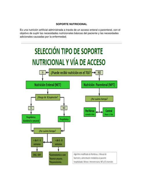 Soporte Nutricional Nurfay Mina Valencia UDocz