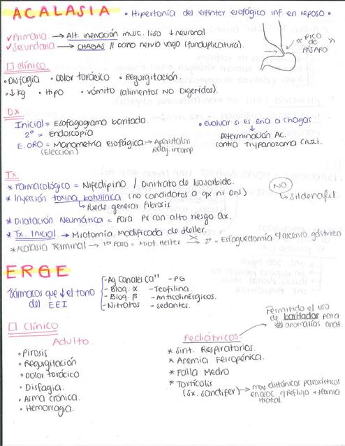 Adenocarcinoma Oscar Zebadua UDocz