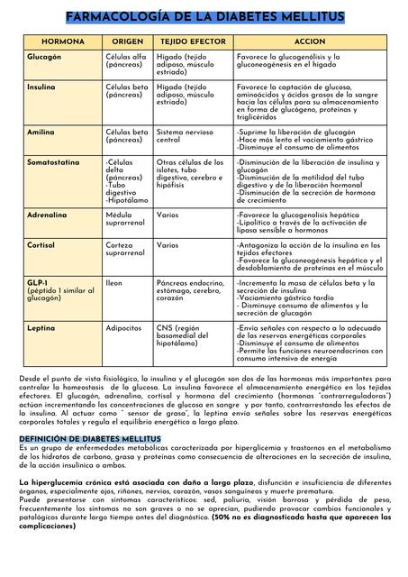 24 Diabetes Mellitus Piero Vega UDocz