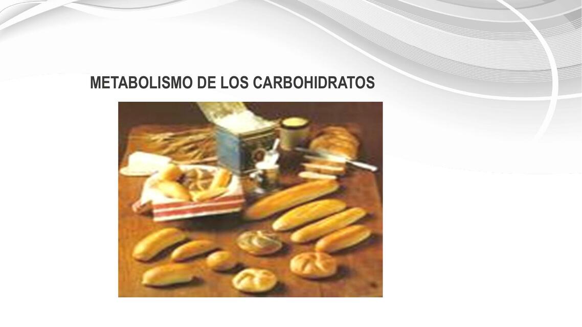 Metabolismo De Los Carbohidratos Luis A Udocz