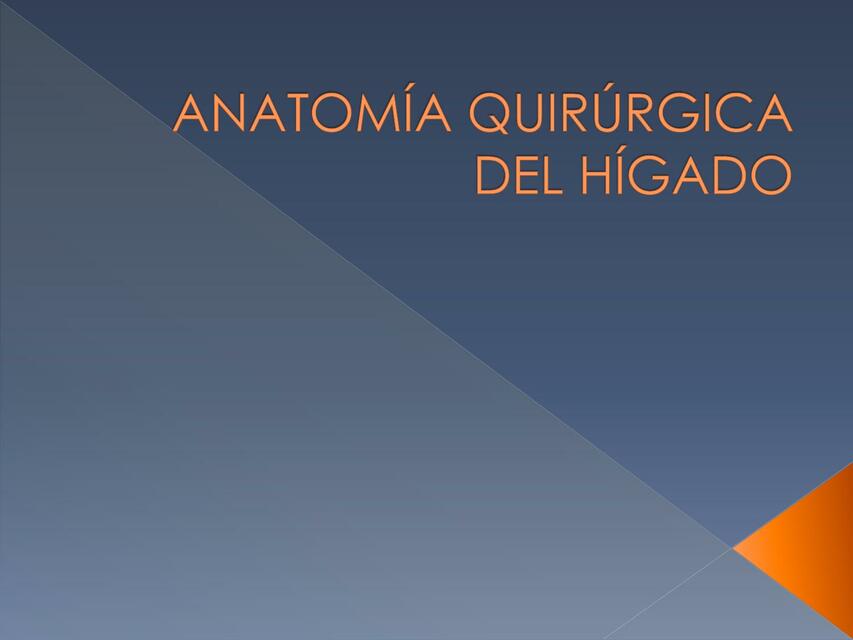 Anatomia Quir Rgica Del H Gado Jos Fabricio Monta O C Spedes Udocz