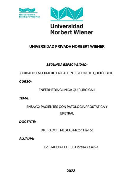 Pacientes con patología prostática y uretral vivian Josselyn