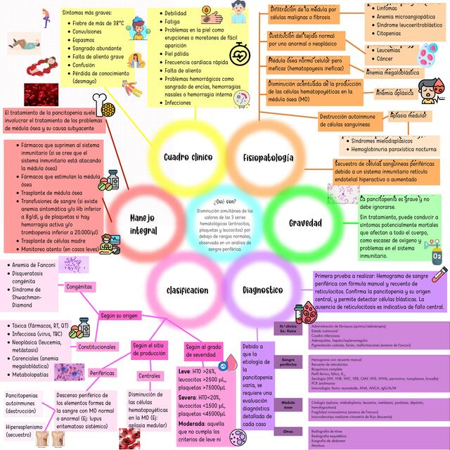 Pancitopenias Hami Notes Udocz