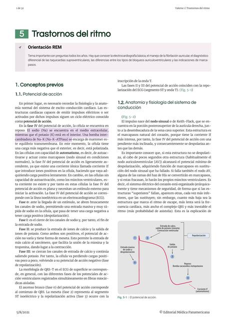 Trastornos Del Ritmo ValeES25 UDocz