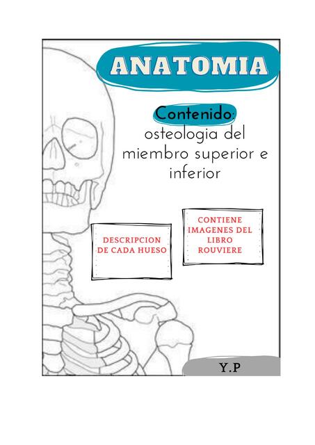 Osteolog A Del Miembro Superior E Inferior Yaelstudy Udocz