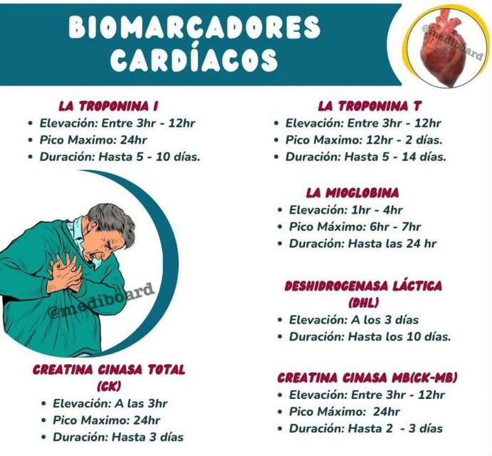 Biomarcadores Cardiacos Yudoc Org Udocz