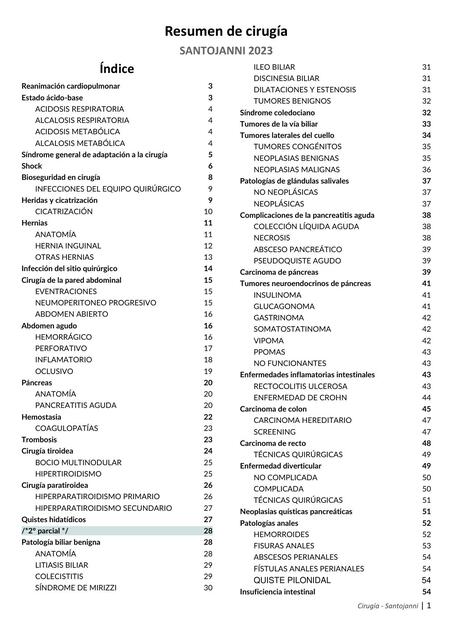 Resumen De Cirug A Santojanni Yudoc Org Udocz