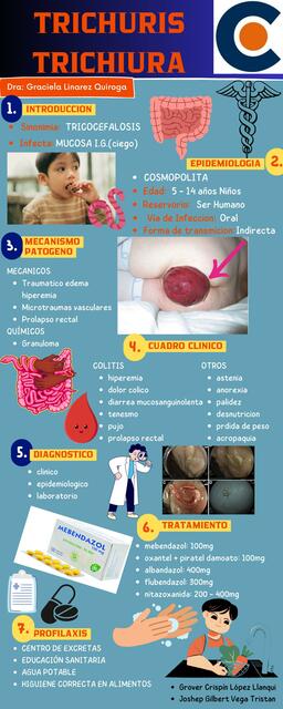 Trichuris Trichiura Edward Tuco UDocz