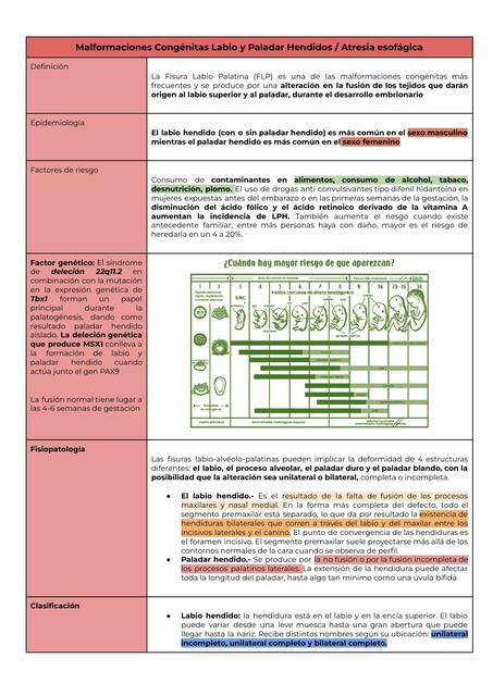 Malformaciones Congénitas Labio y Paladar Hendido Valeria Michell