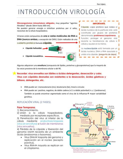 Introducción a la virología IOVANNY CRUZ OJEDA uDocz