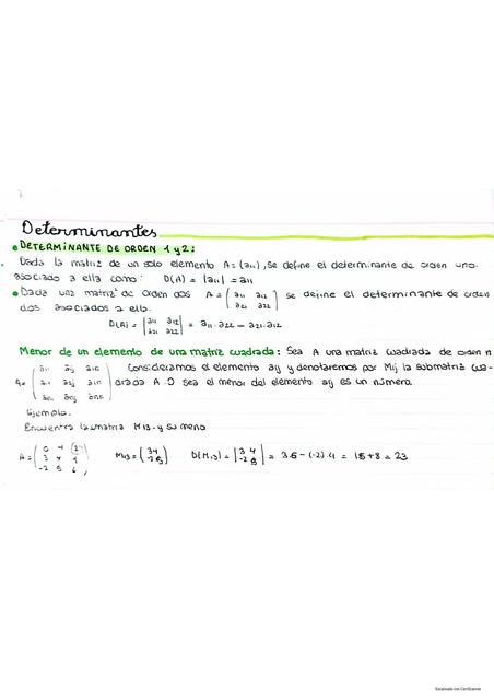 Ficha Determinantes Y Matrices Milagros Herrera UDocz