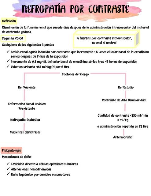 Nefropat A Por Contraste Iovanny Cruz Ojeda Udocz