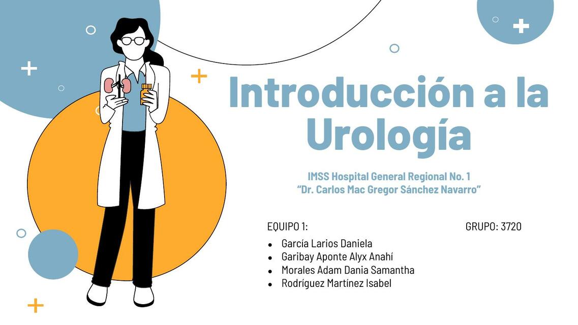 Introducción a la urología IOVANNY CRUZ OJEDA uDocz