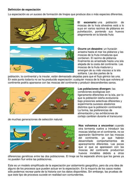 Definici N De Especiaci N Oscar Vinicio Tenesaca Castillo Udocz