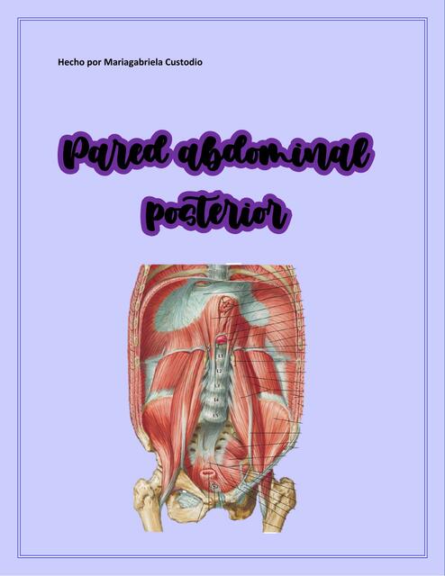 Pared Abdominal Posterior Mariagabriela Custodio UDocz