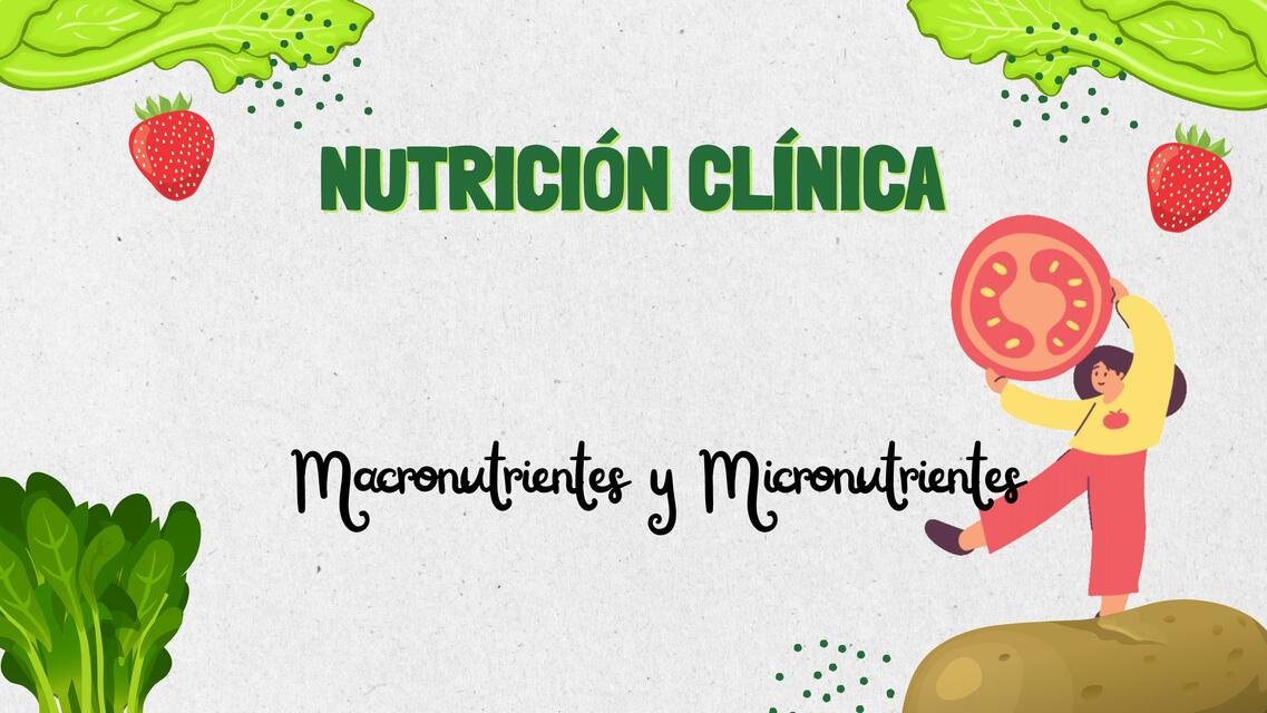 Macronutrientes Y Micronutrientes Lupita Udocz