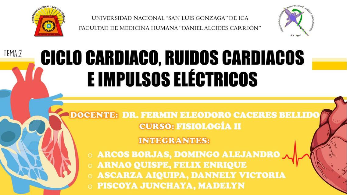 CICLO CARDIACO RUIDO CARDIACO E IMPULSOS ELÉCTRICO ALEZKA uDocz