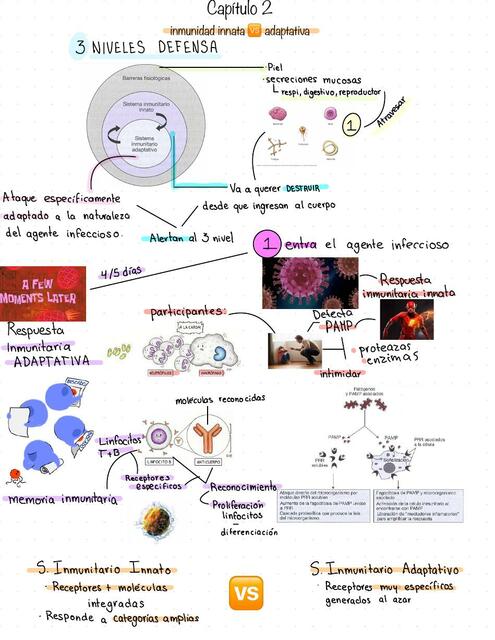 Inmunidad Innata Vs Adaptativa Maria Fernanda Cortez Garcia Udocz