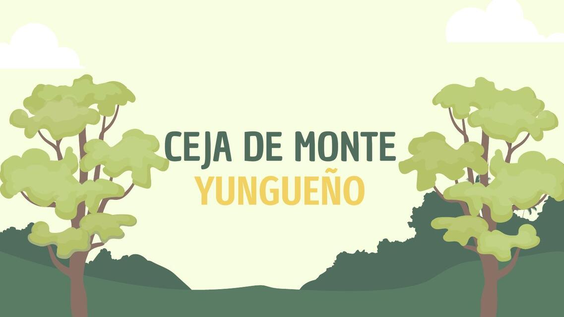 Ceja de monte Yungueño Jhely uDocz