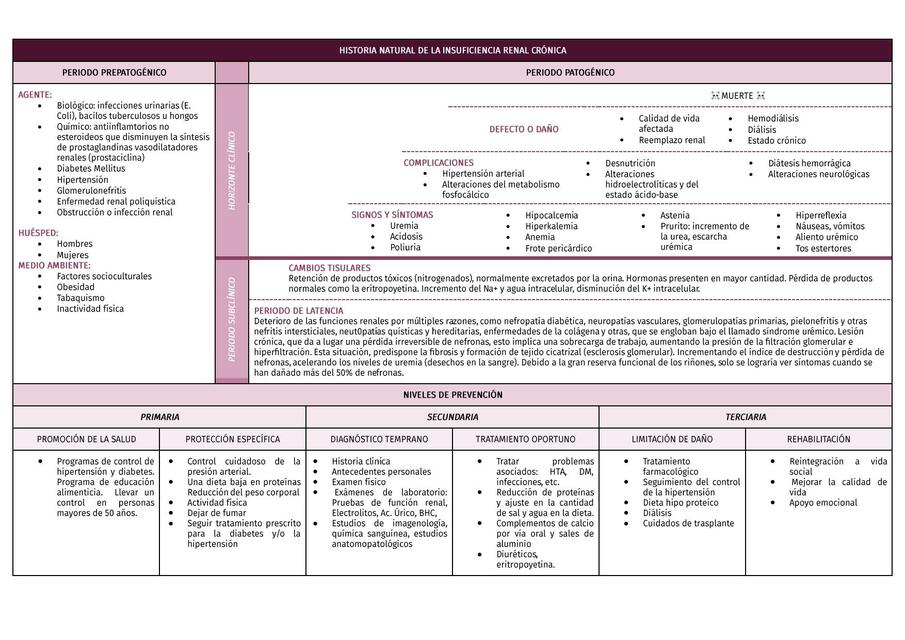 Historia Natural Insuficiencia Renal Cr Nica Lau Udocz