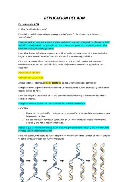 REPLICACIÓN DEL ADN Moisés Cerrato uDocz