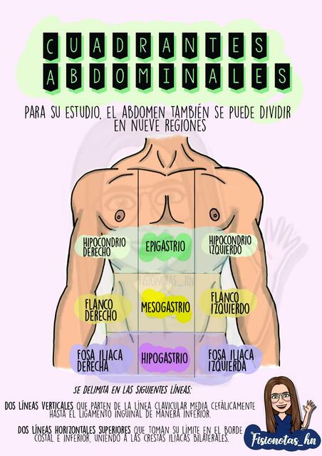 Cuadrantes Abdominales Fisionotas Hn UDocz