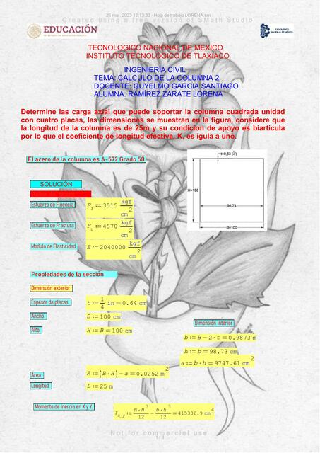 Hoja De Trabajo Aceros Lorena Ramirez Zarate UDocz