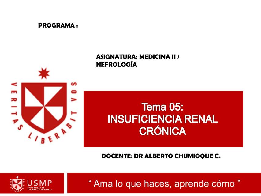 Insuficiencia Renal Cronica Natalie Sosa Udocz