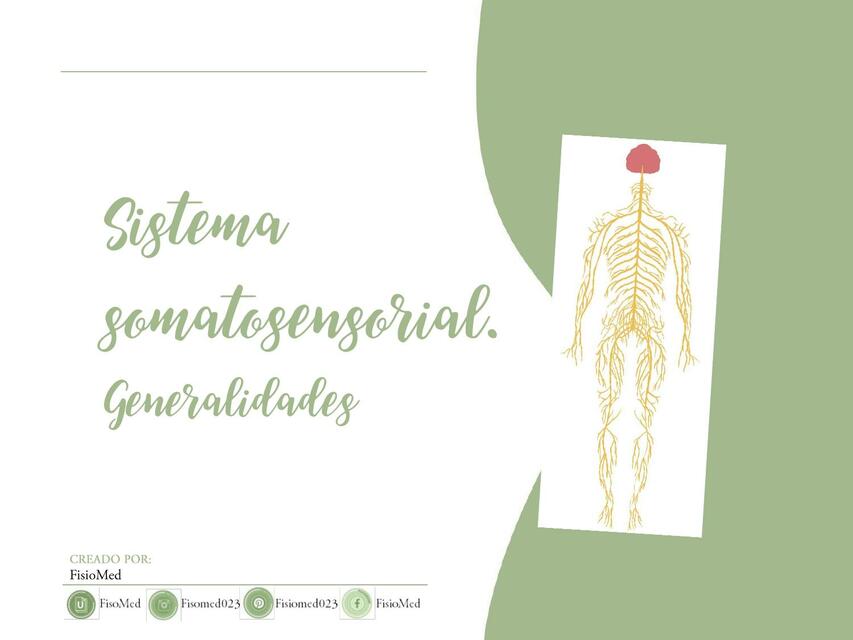 Sistema Somatosensorial Generalidades Fisiomed023 UDocz