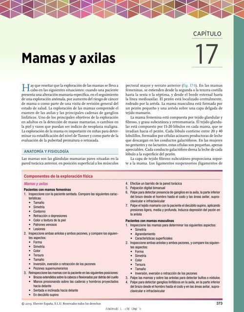 Manual Seidel de Exploración mamas Haydee Perez uDocz