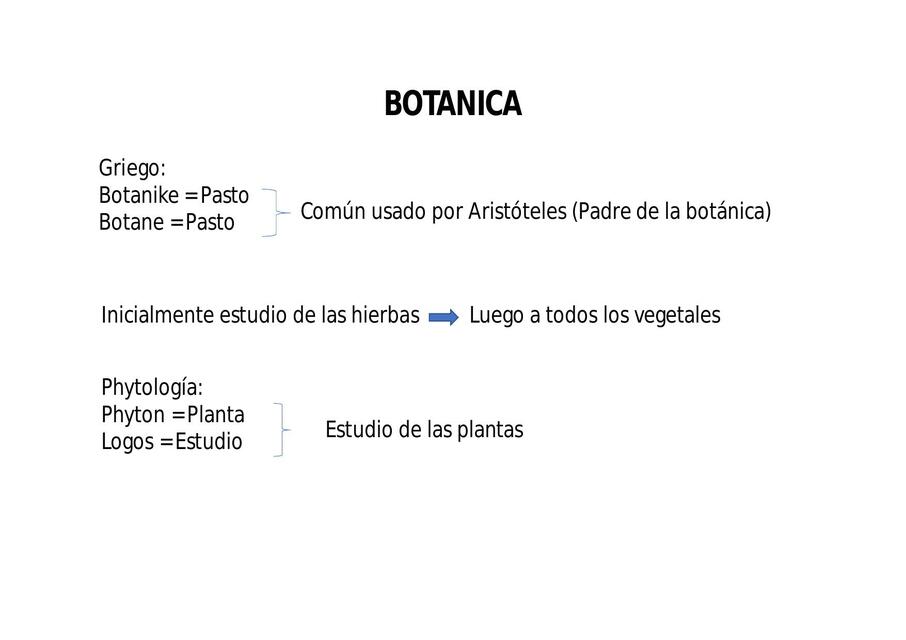 BOTÁNICA INDUX uDocz