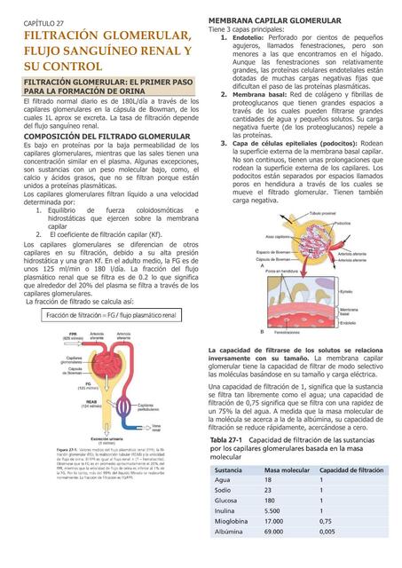 Filtraci N Glomerular Flujo Sangu Neo Renal Y Su Control Renzo Udocz