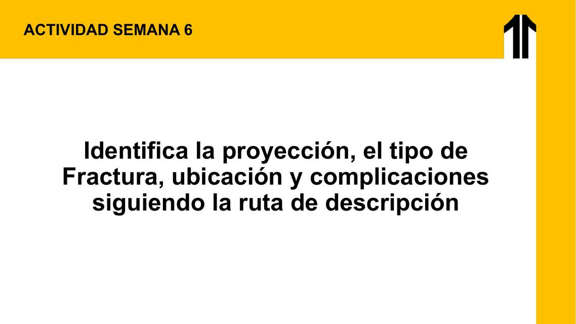 Identifica la proyección el tipo de Fractura ubicación y